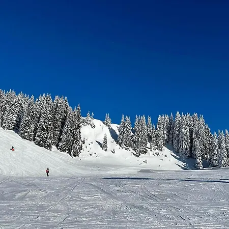 Alpine Near Lift *